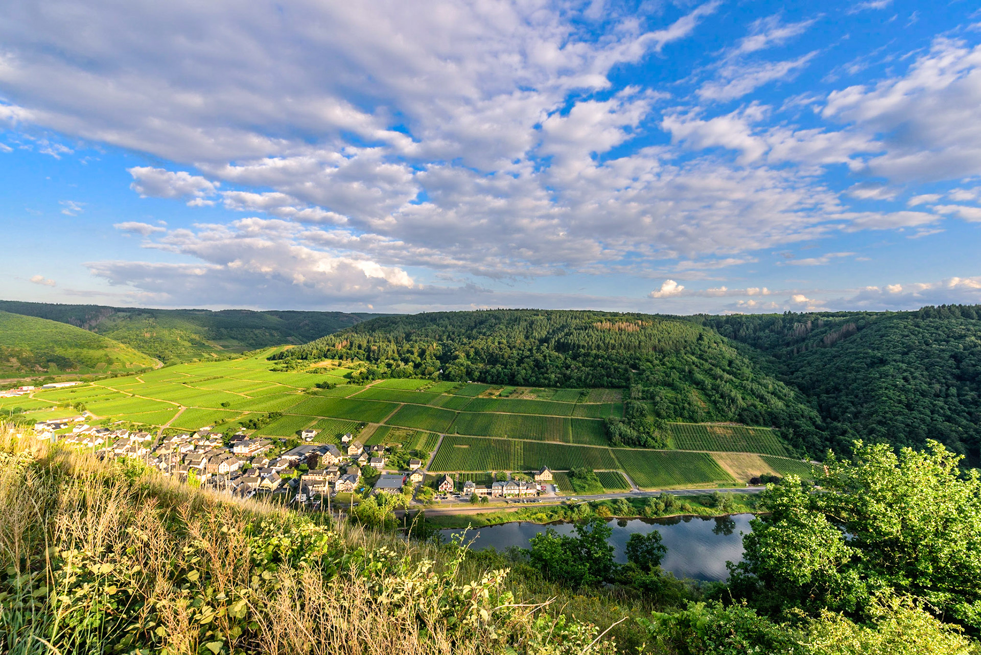 Blick über die Mosel