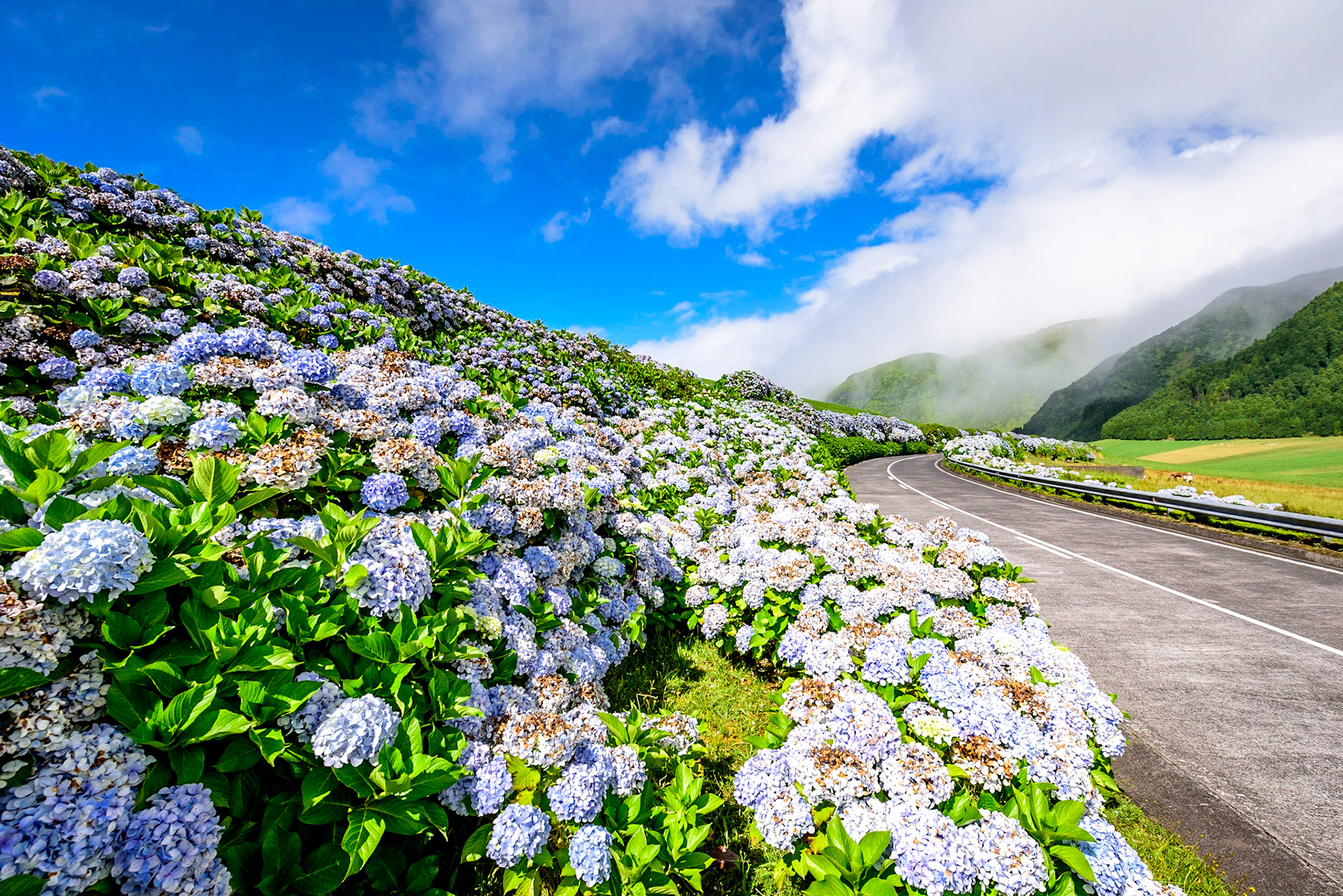 Foto von Thomas Schulze