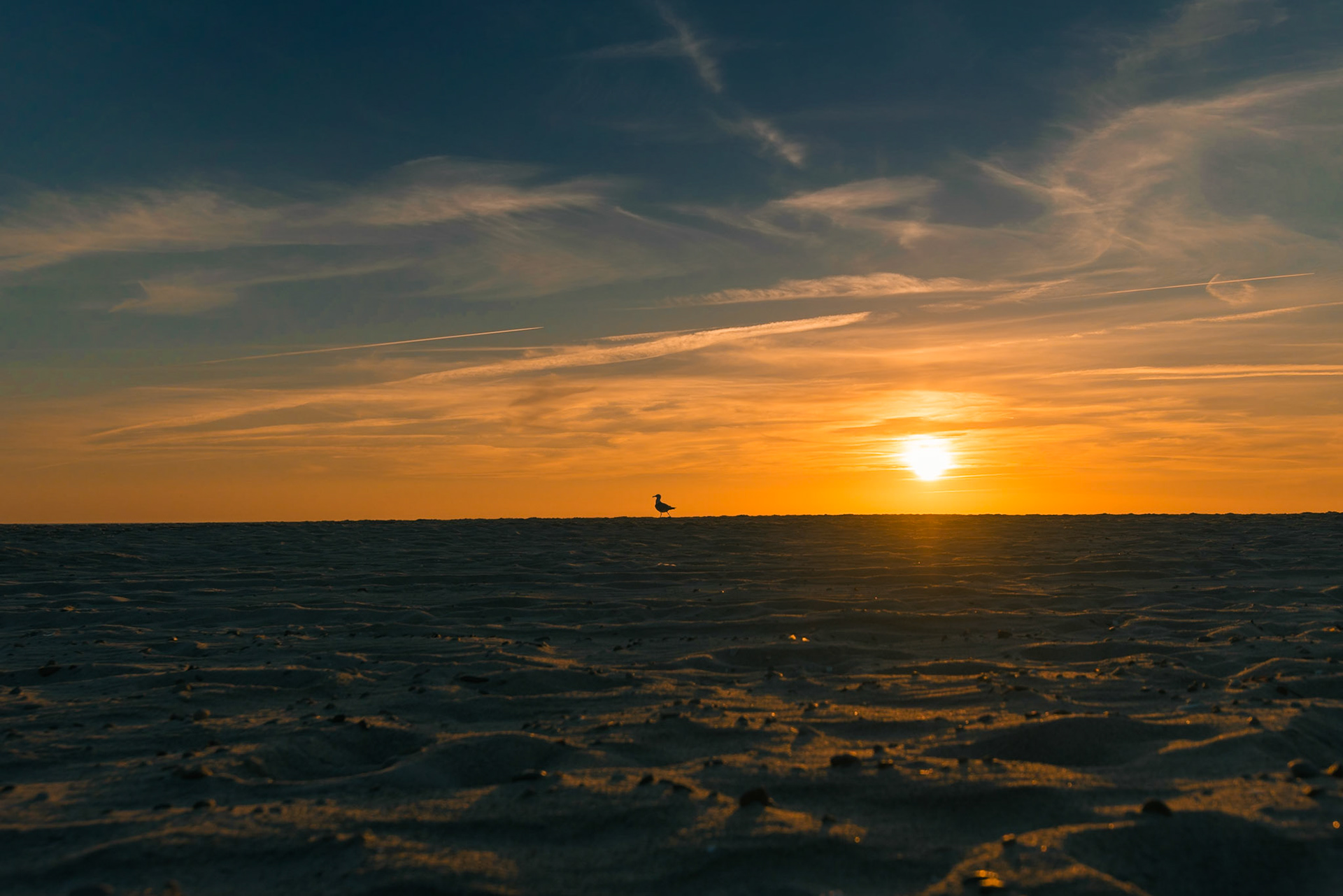 Foto von Thomas Schulze
