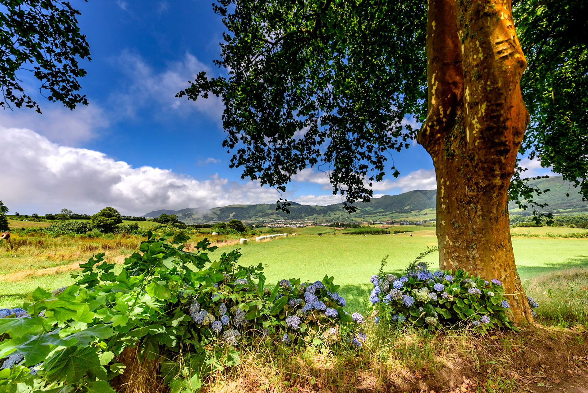 Foto von Thomas Schulze