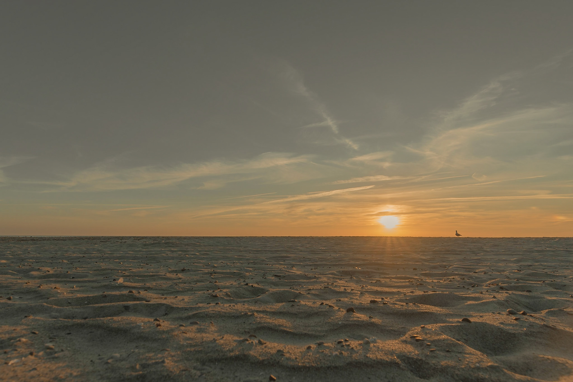 Foto von Thomas Schulze