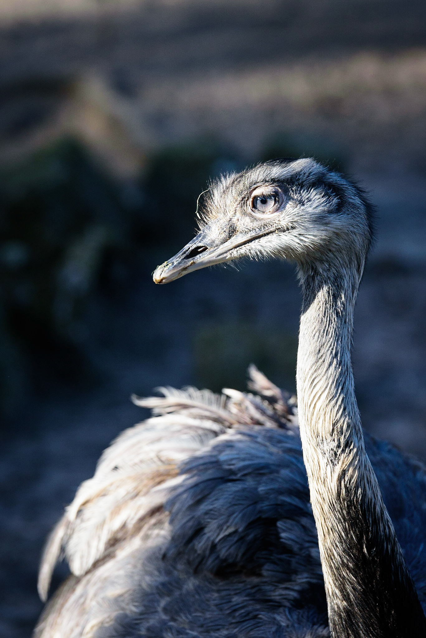 Foto von Thomas Schulze