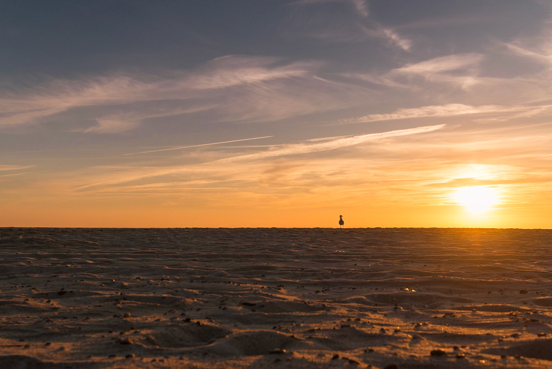 Foto von Thomas Schulze