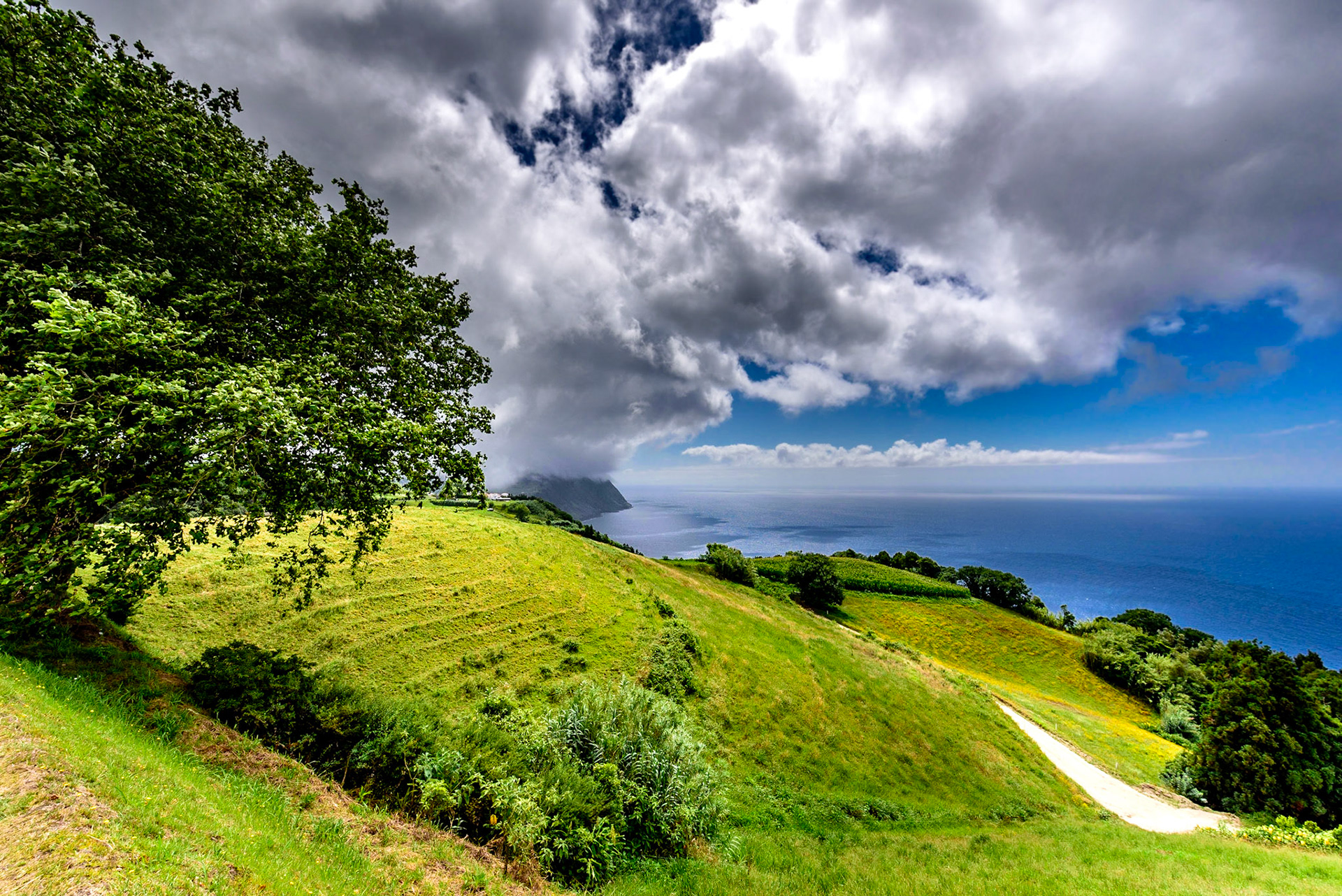 Foto von Thomas Schulze