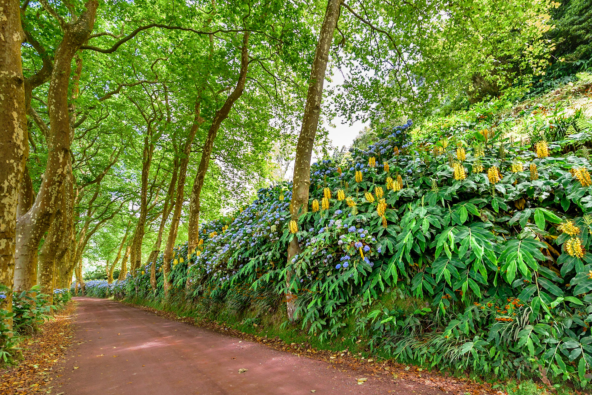 Foto von Thomas Schulze