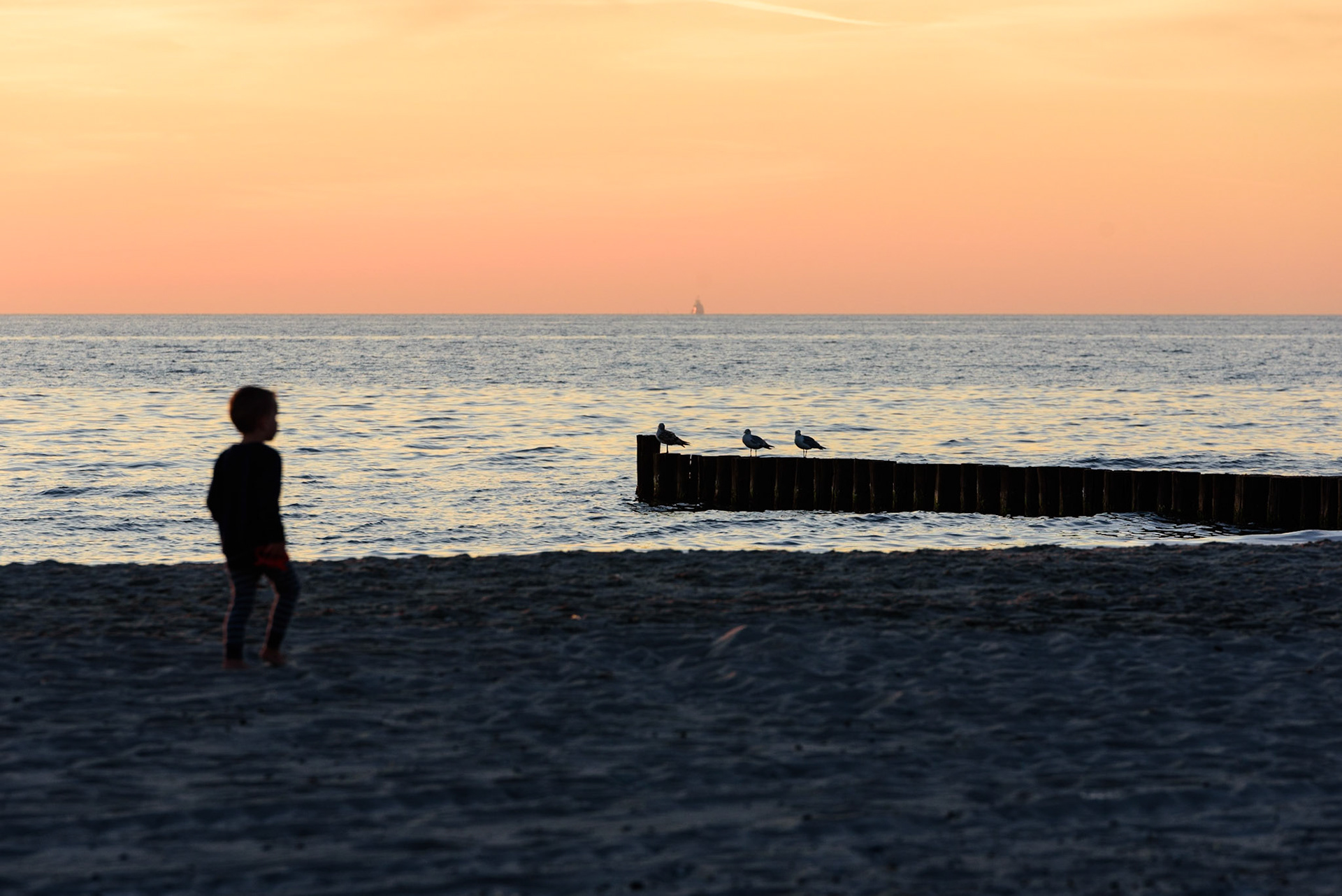 Foto von Thomas Schulze