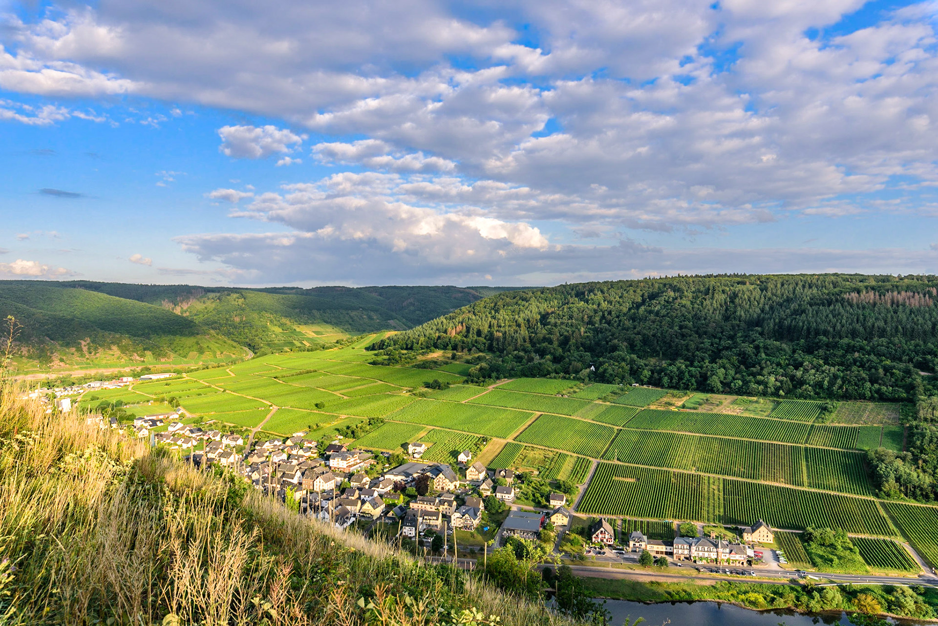 Blick über die Mosel