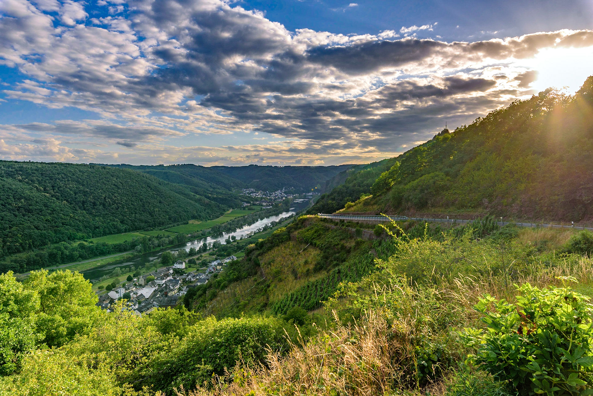 Blick über die Mosel