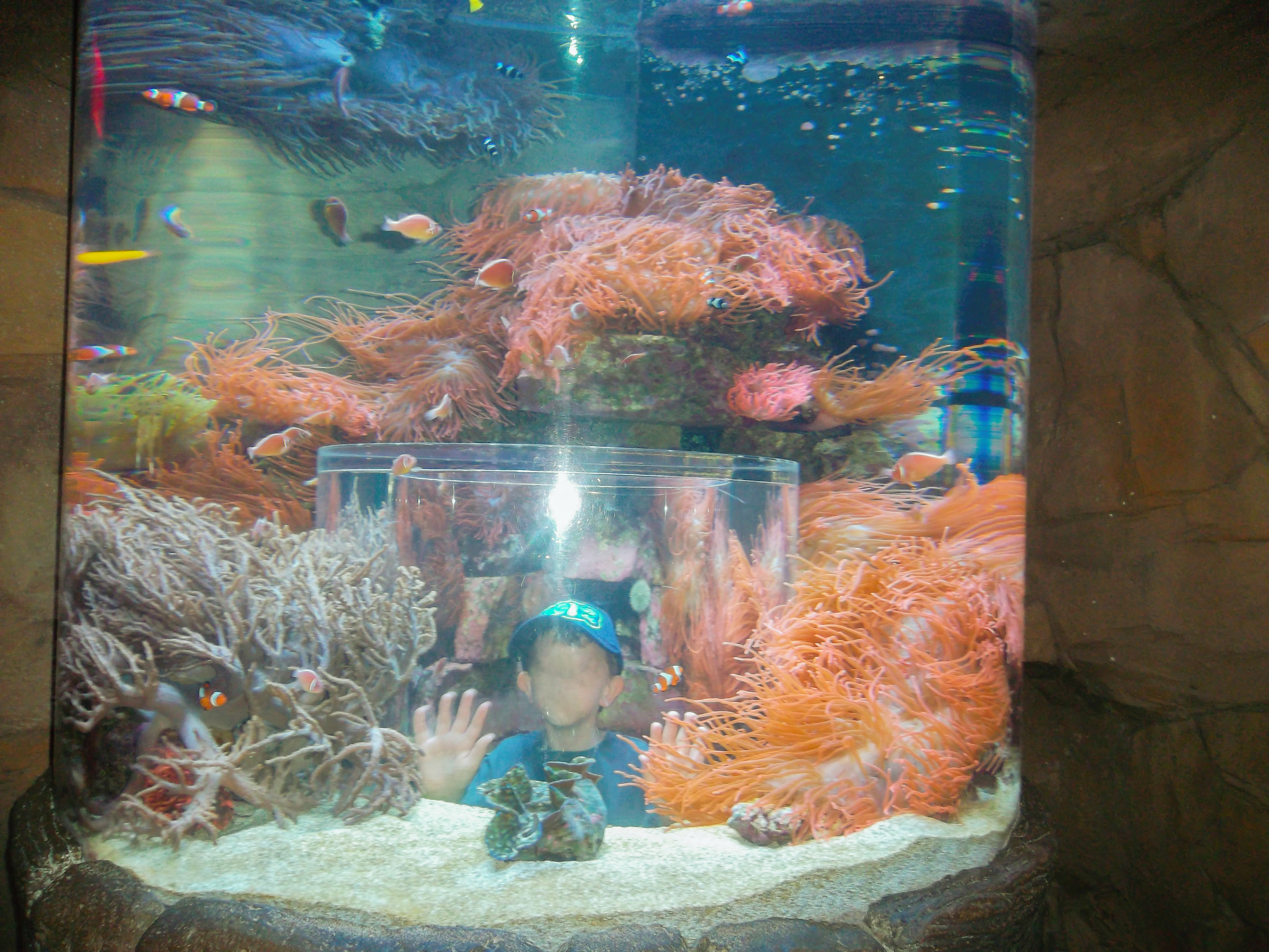 "Aquarium?" 5" x 7" Inkjet on Glossy Photo Paper