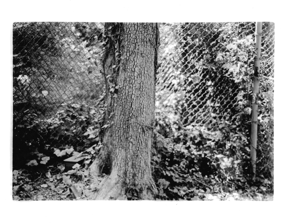 Ammo Crate - 8" x 10" Silver Gelatin Print 2019.
