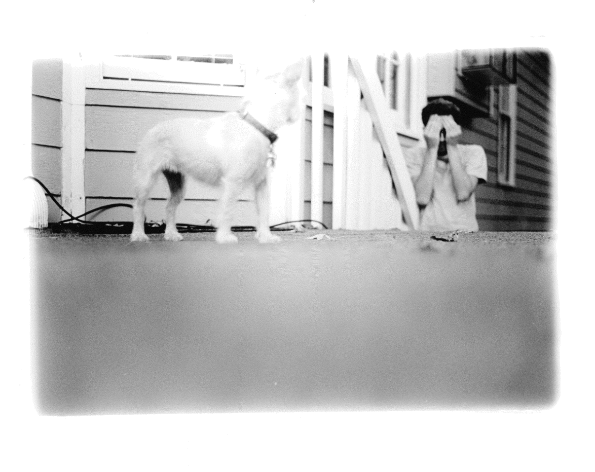 Peekaboo - 8" x 10" Silver Gelatin Print 2019.