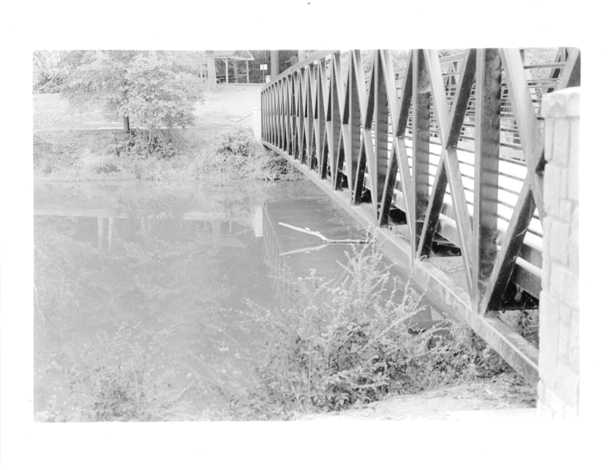 Two Turtles - 8" x 10" Silver Gelatin Print 2019.