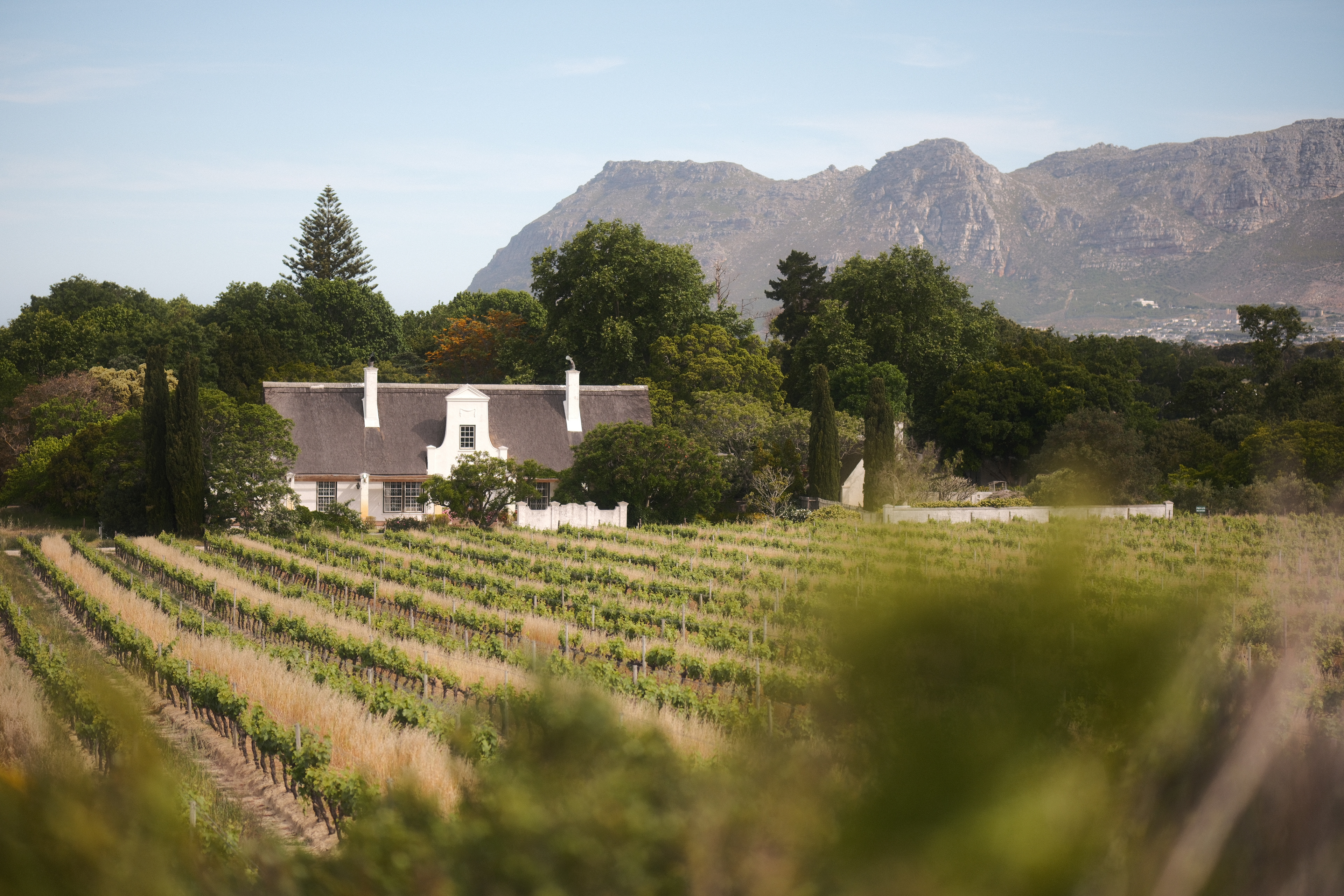"Groot Constantia" in SantaColor by Nathalie Boucry