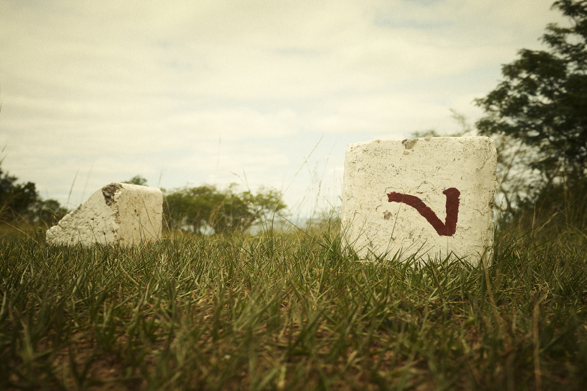 "Defeated 7" in Vintage Color by Nathalie Boucry