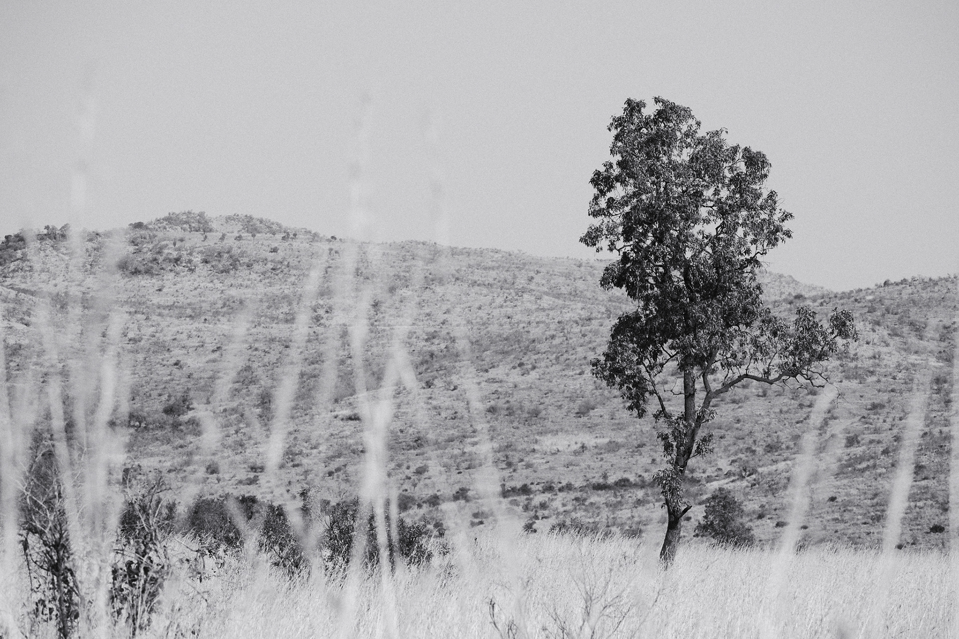"Landscape in Shades of Grey" in Kodak T-Max P3200 by Nathalie Boucry