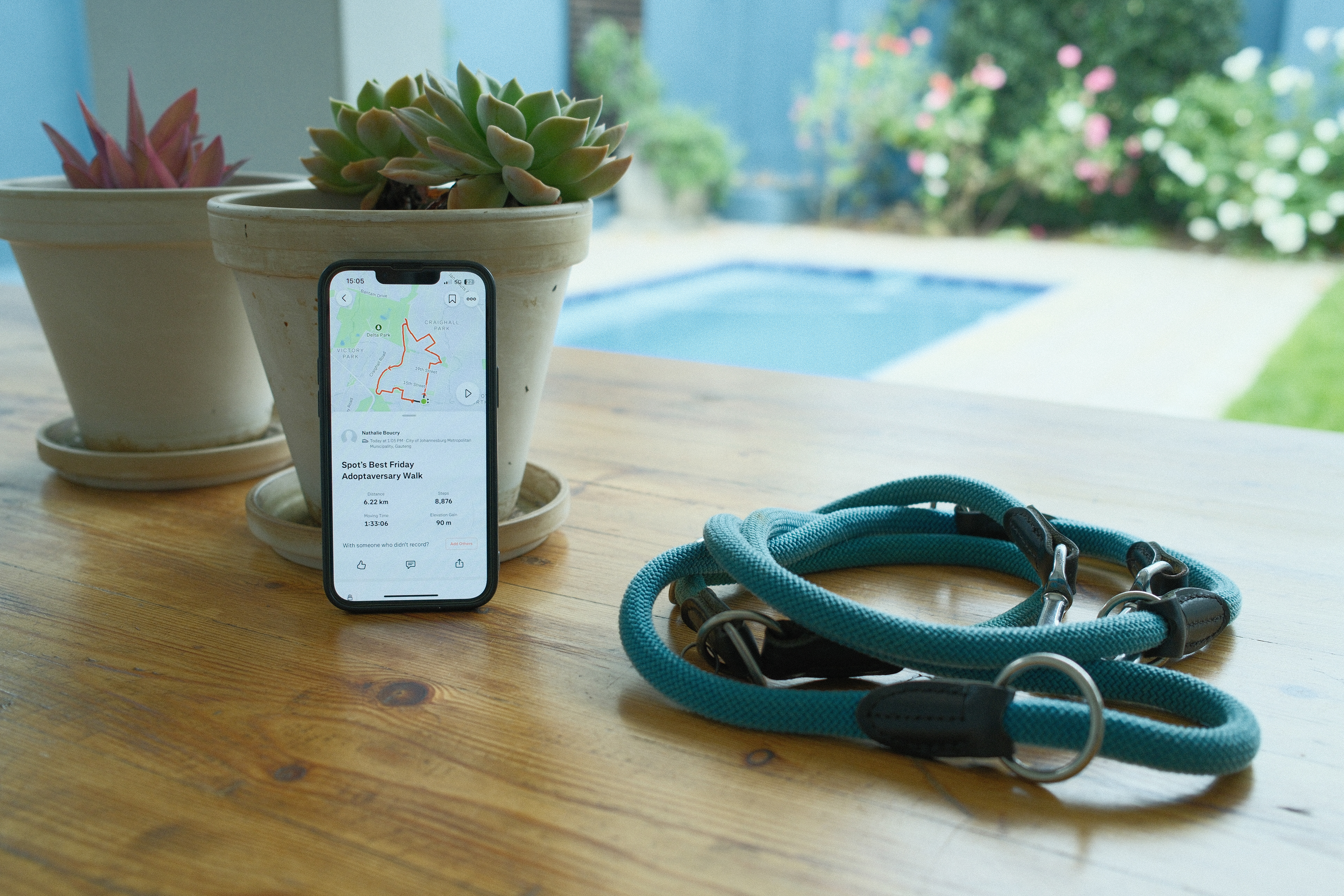 "Dog Things" in Retro Negative by Nathalie Boucry