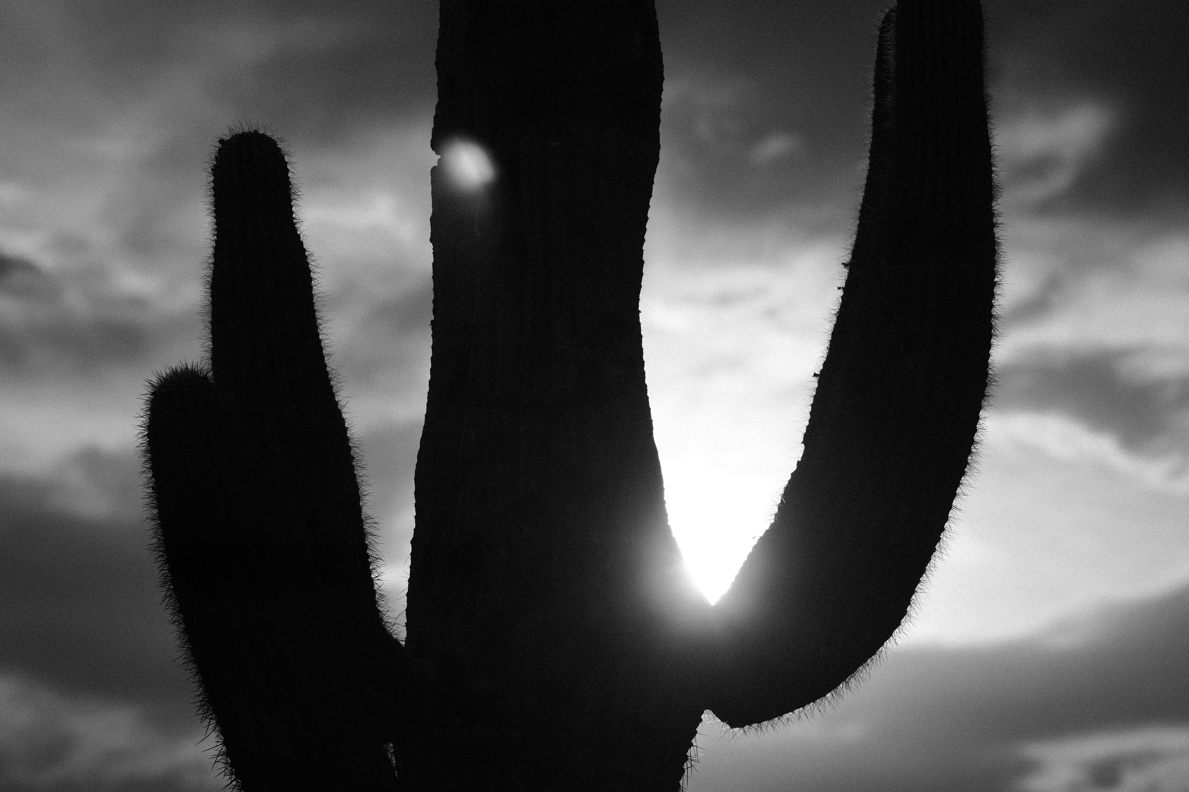 "Hands Up" in Ilford HP5 Plus 400 by Ritchie Roesch