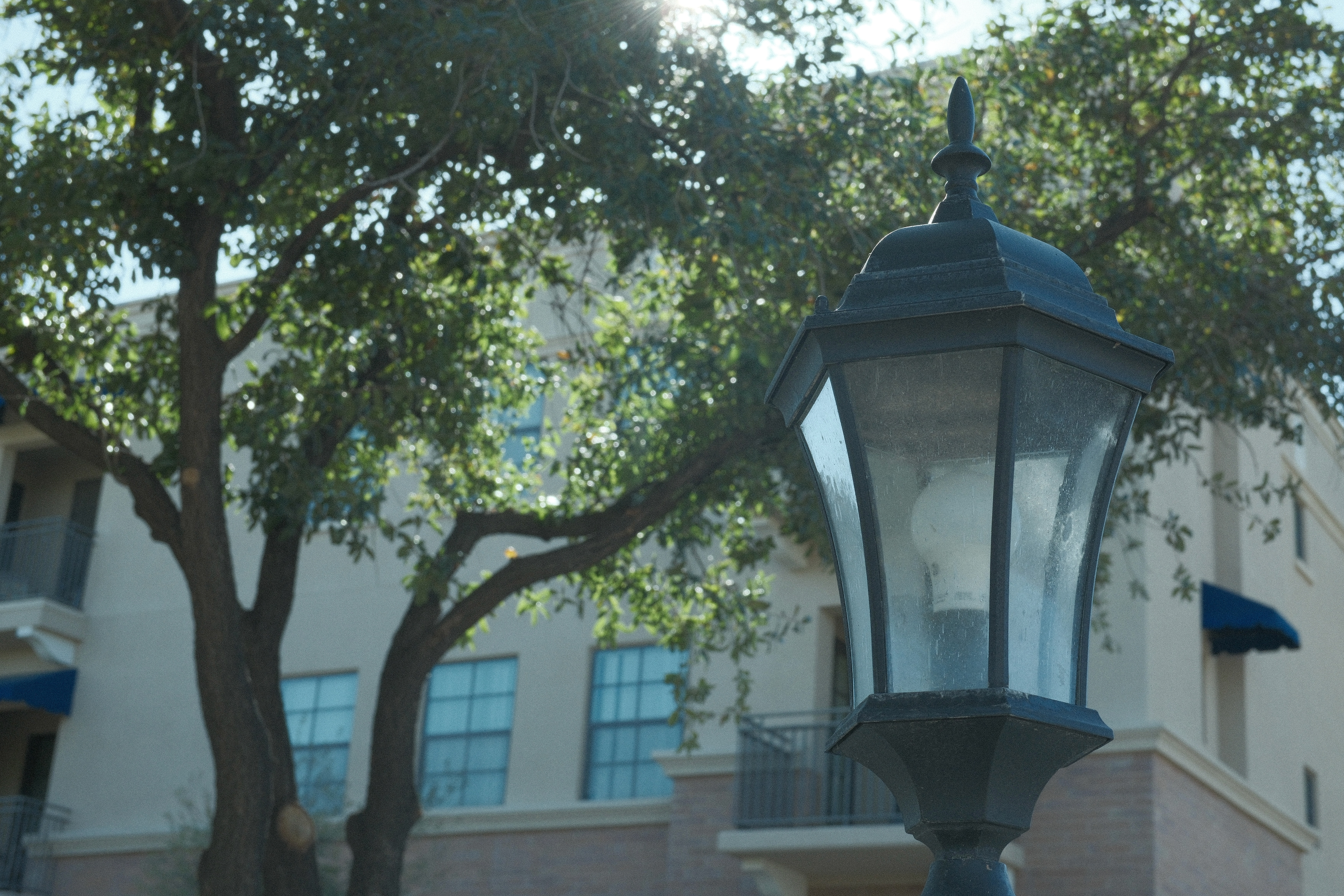 "Street Light" in Eterna Film by Ritchie Roesch