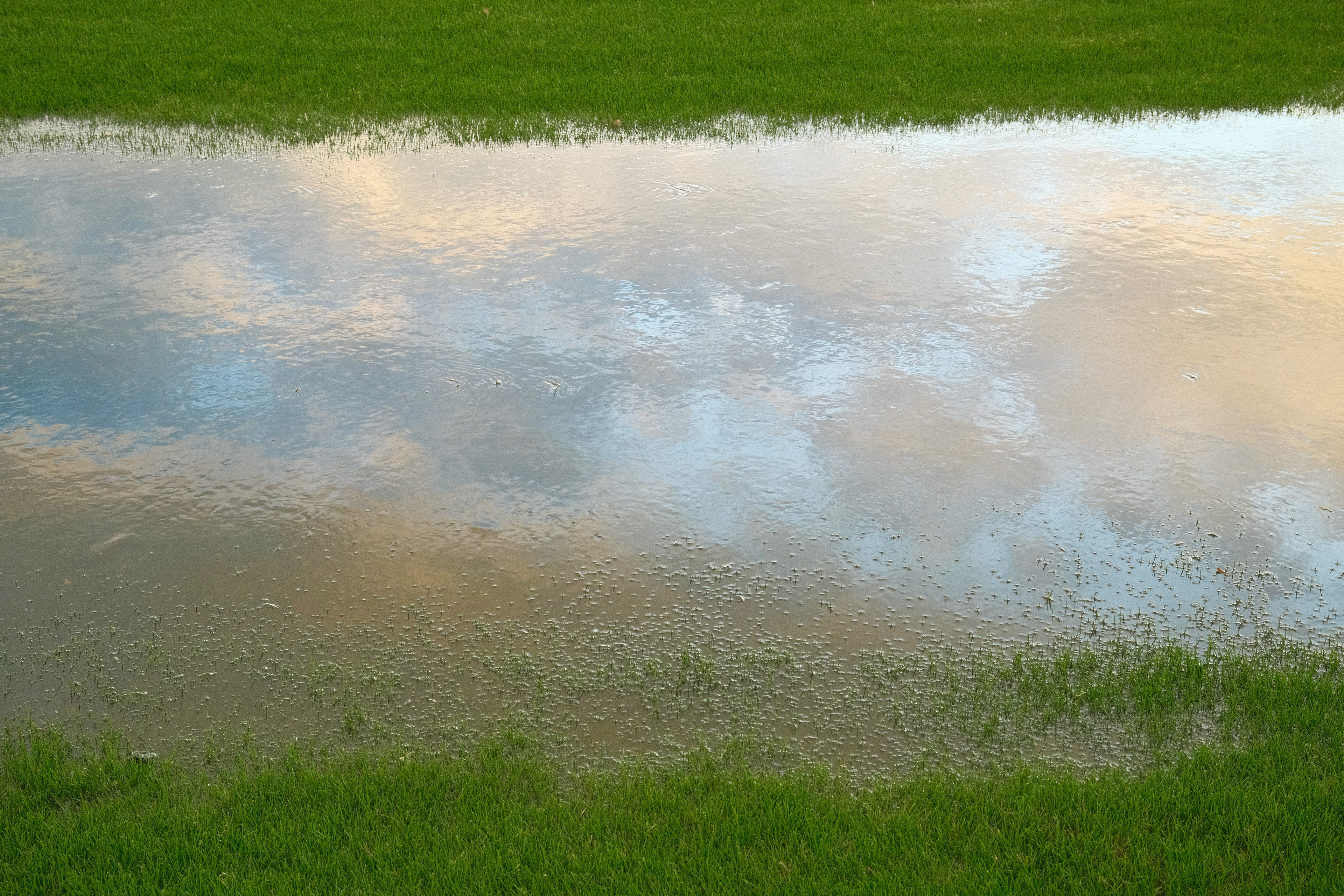 "Cloud Reflections" in Retro Negative by Ritchie Roesch