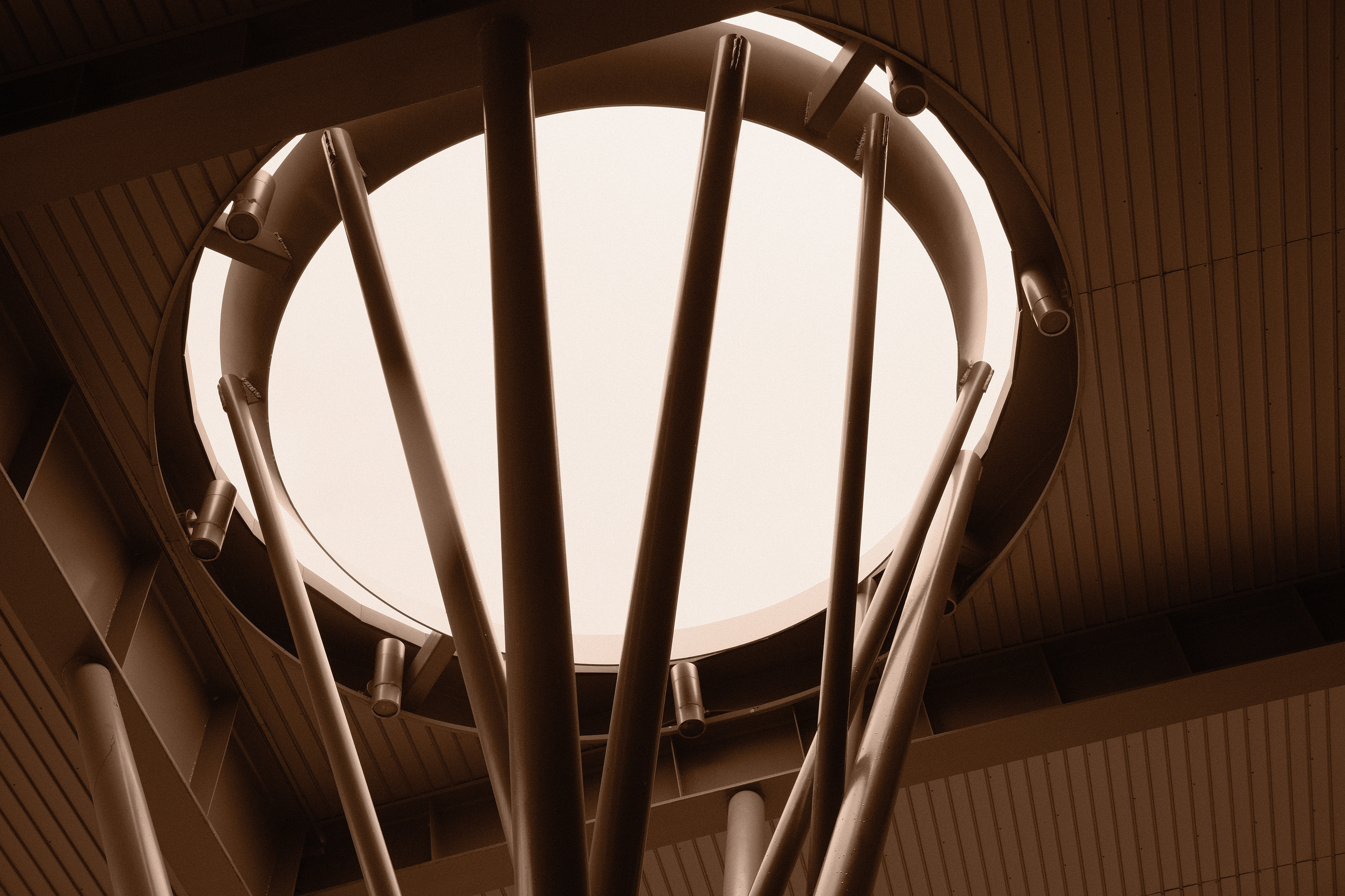 "Illuminated" in B&W Sepia by Ritchie Roesch