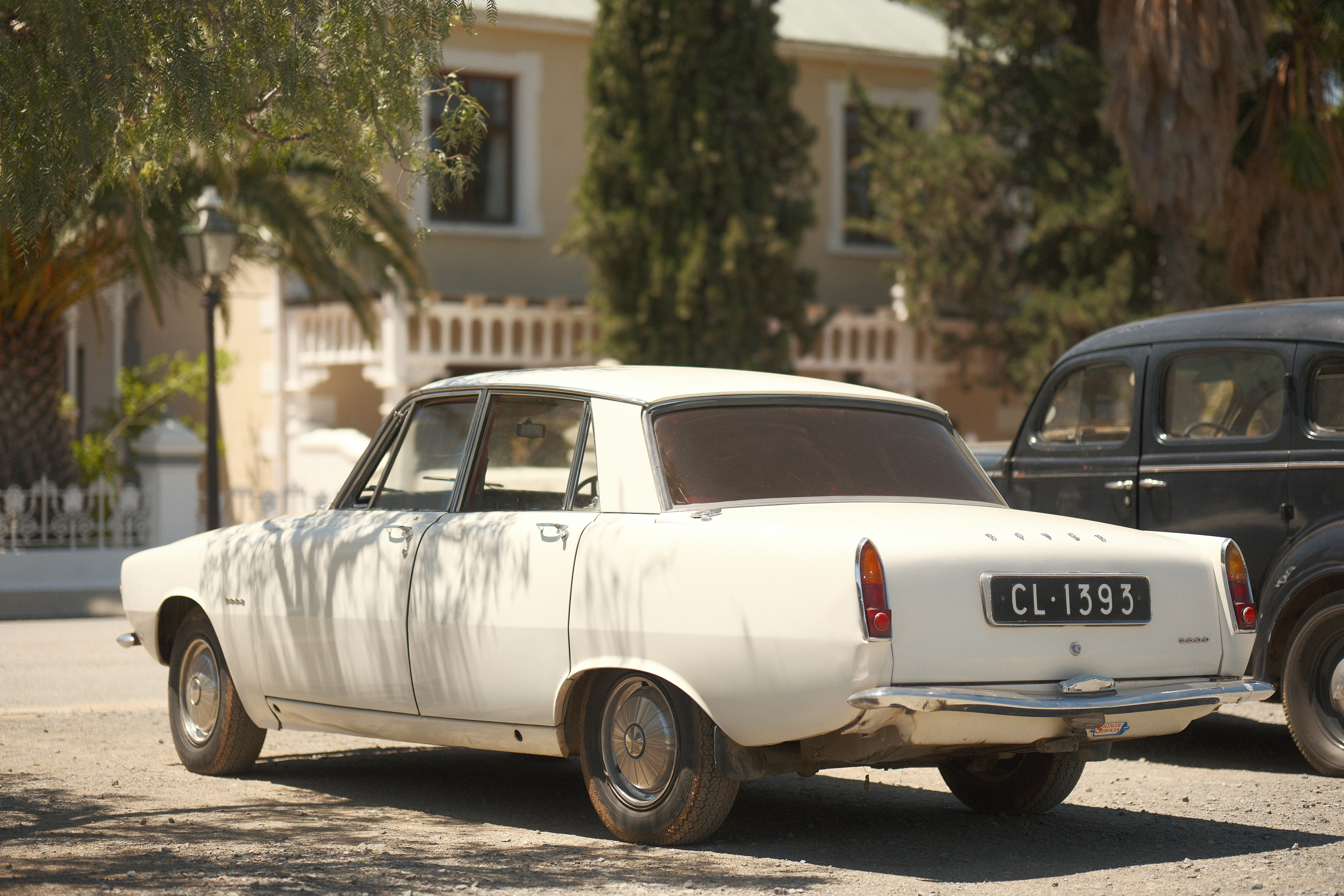 "Vintage" in Timeless Negative by Nathalie Boucry