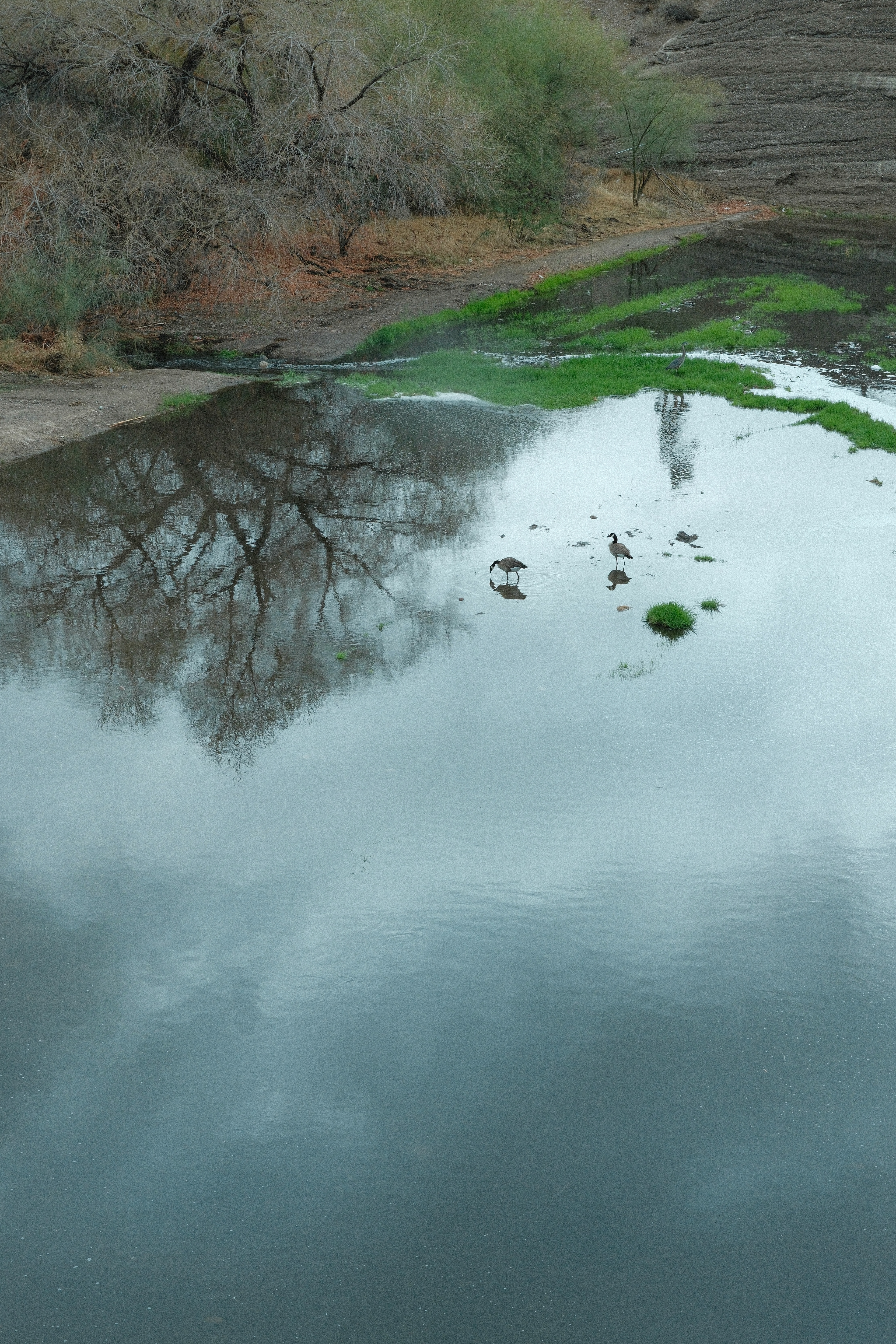 "Reflections" in Elite Chrome by Ritchie Roesch