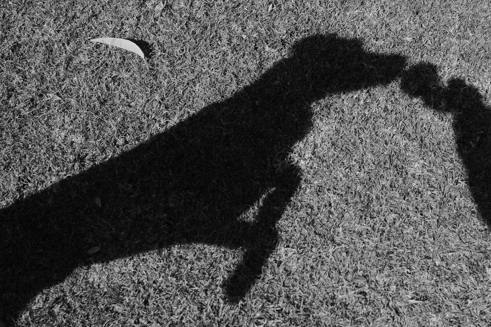"A Dog's Life" in Ilford HP5 Plus 400 by Nathalie Boucry