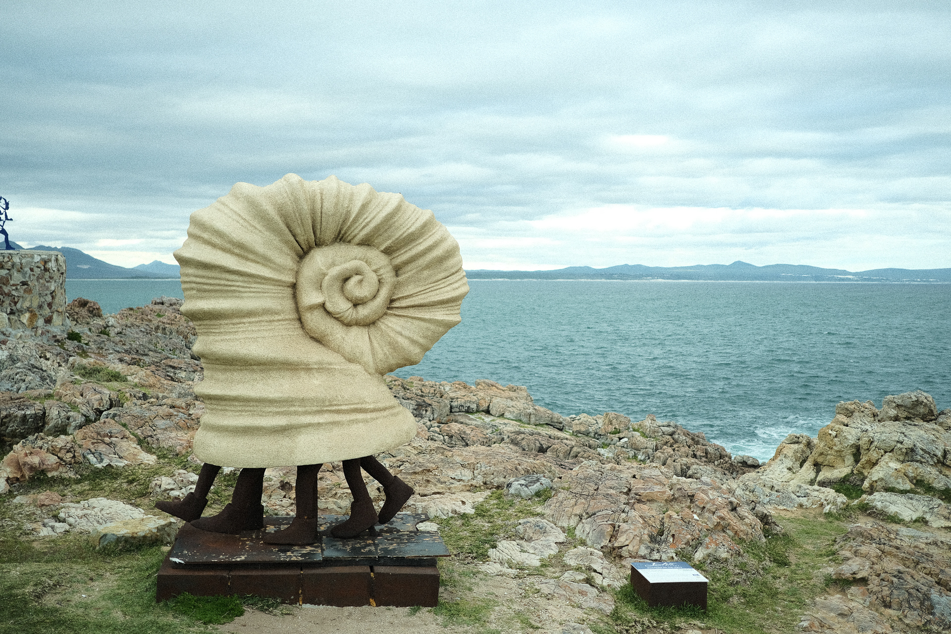 Five-Legged Shell by Nathalie Boucry
