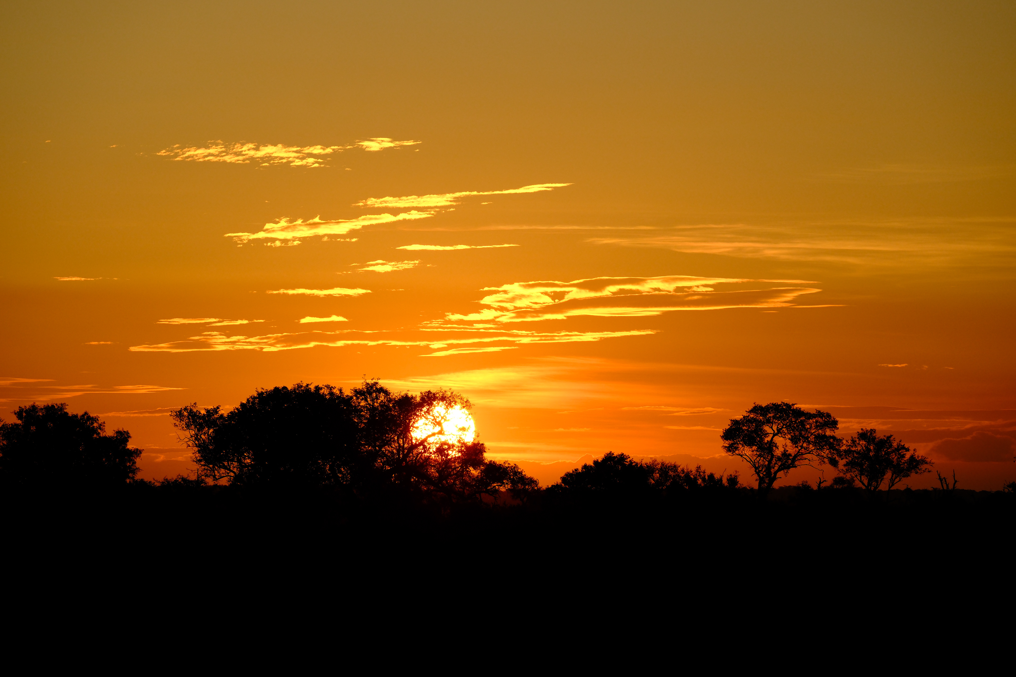 "Sky on Fire" in Velvia 100F by Nathalie Boucry