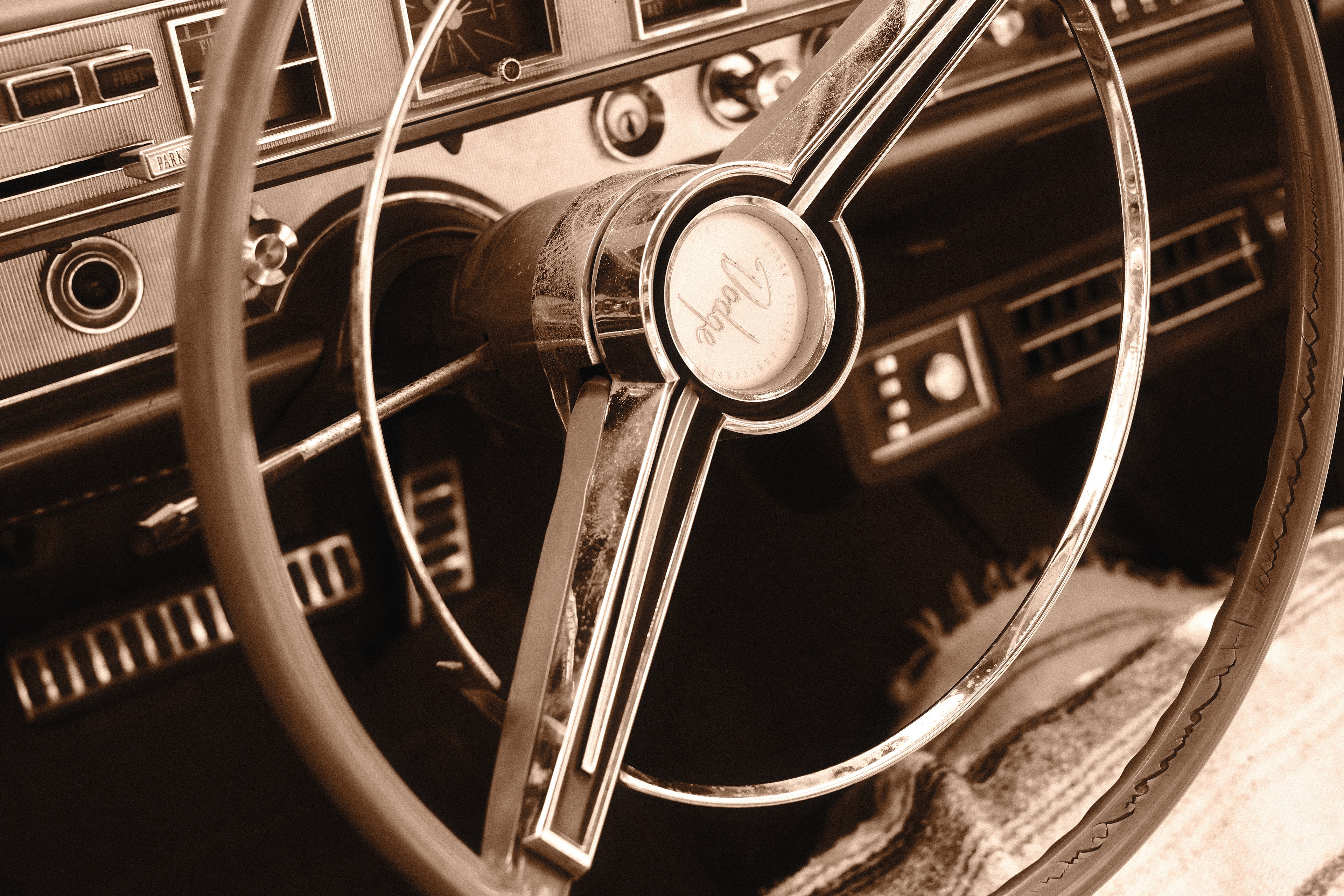 "Brown Steering" in B&W Sepia by Ritchie Roesch