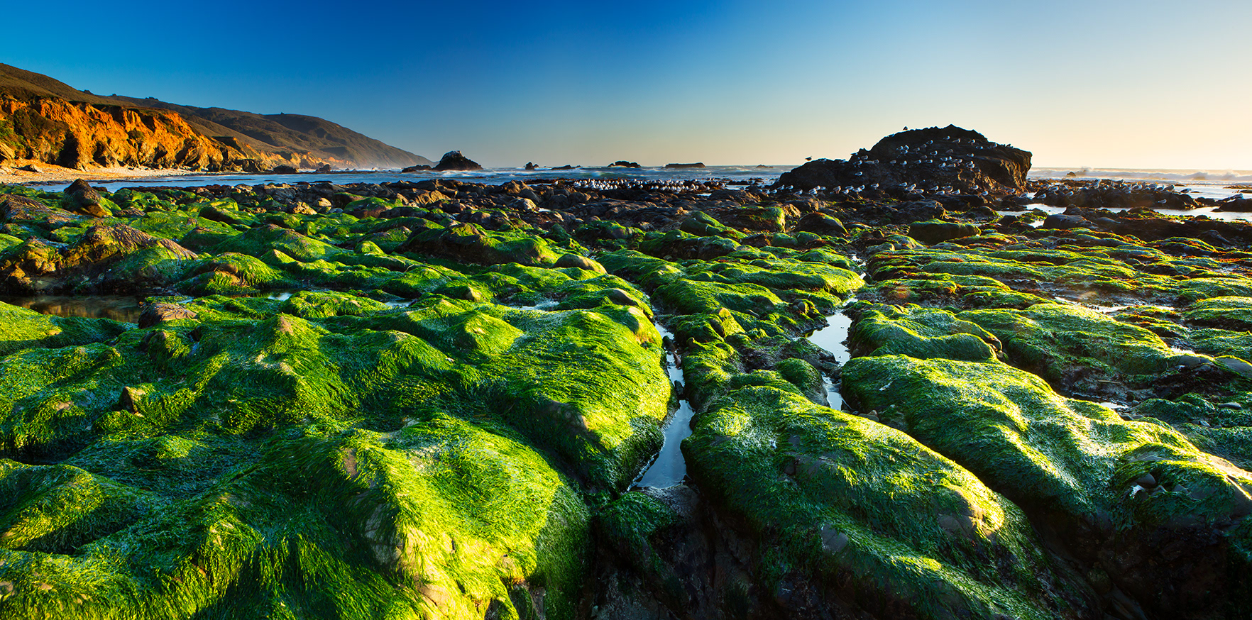 Big Sur California