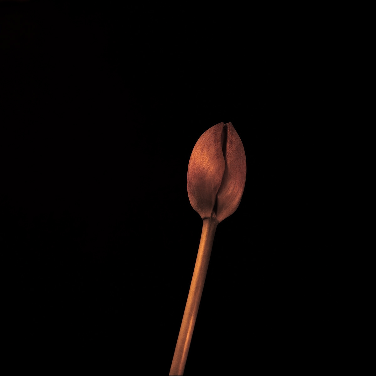 Golden One