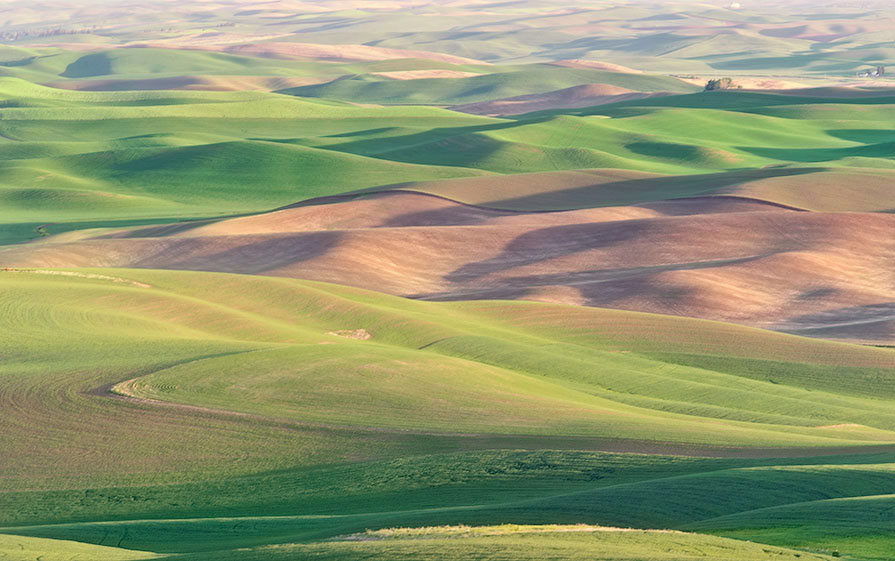 Steptoe Butte View II