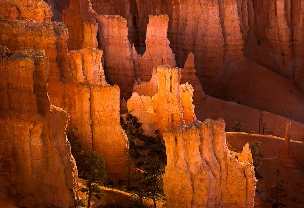 Bryce