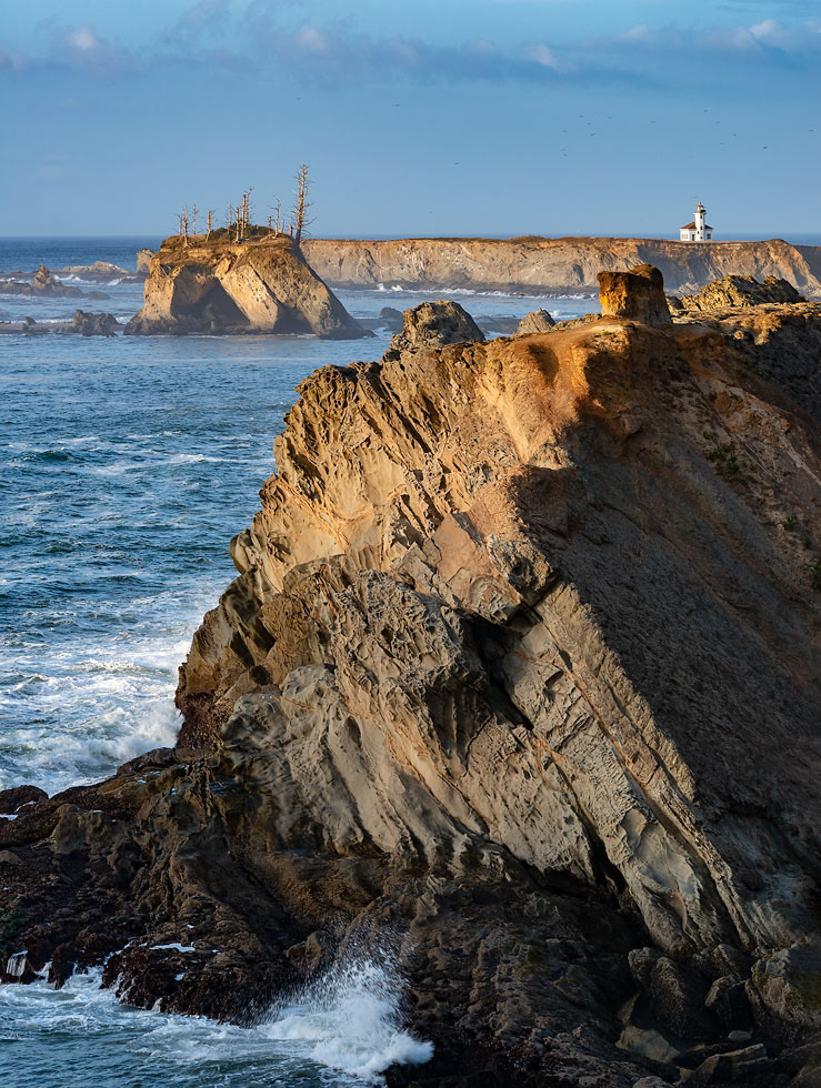 Cape Arago