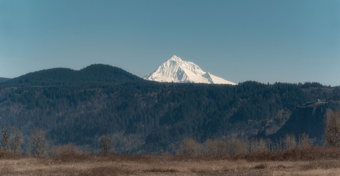 Hood from Steigerwald