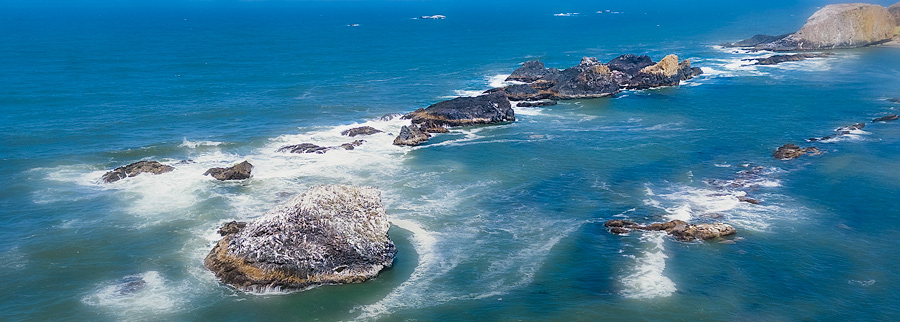 Seal Rocks Oregon Coast