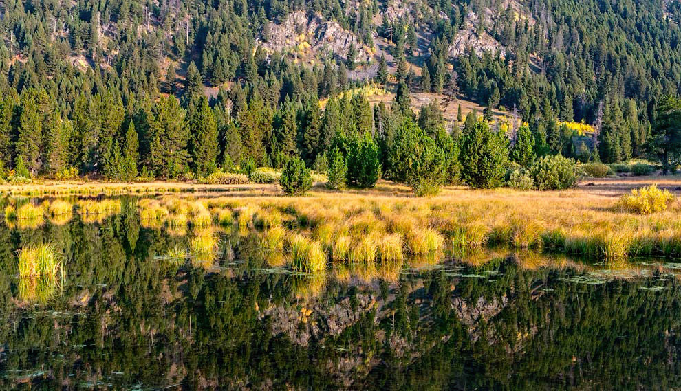 Beaver Creek Wetlands II