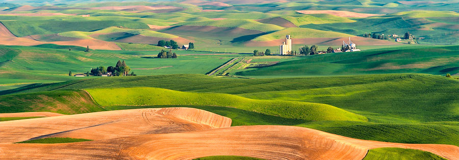 Steptoe Butte View I