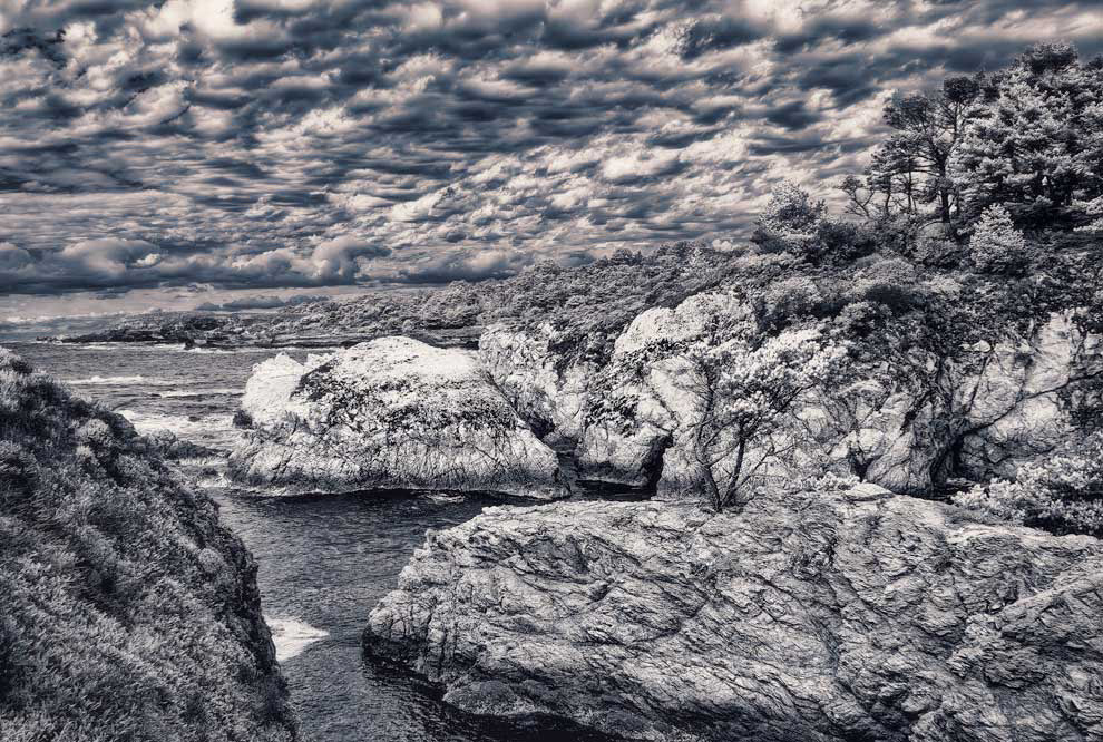 Point at Point Lobos
