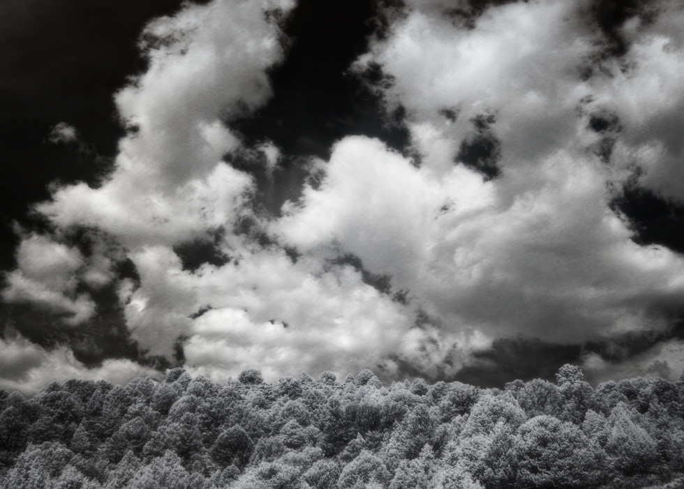 Junipers & Clouds Utah