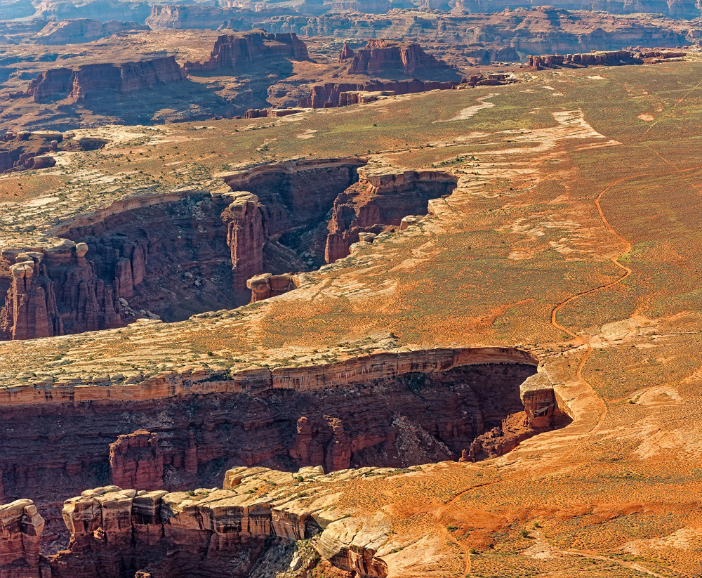 Canyonland
