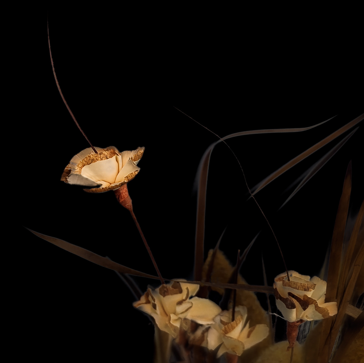 The Still Flower