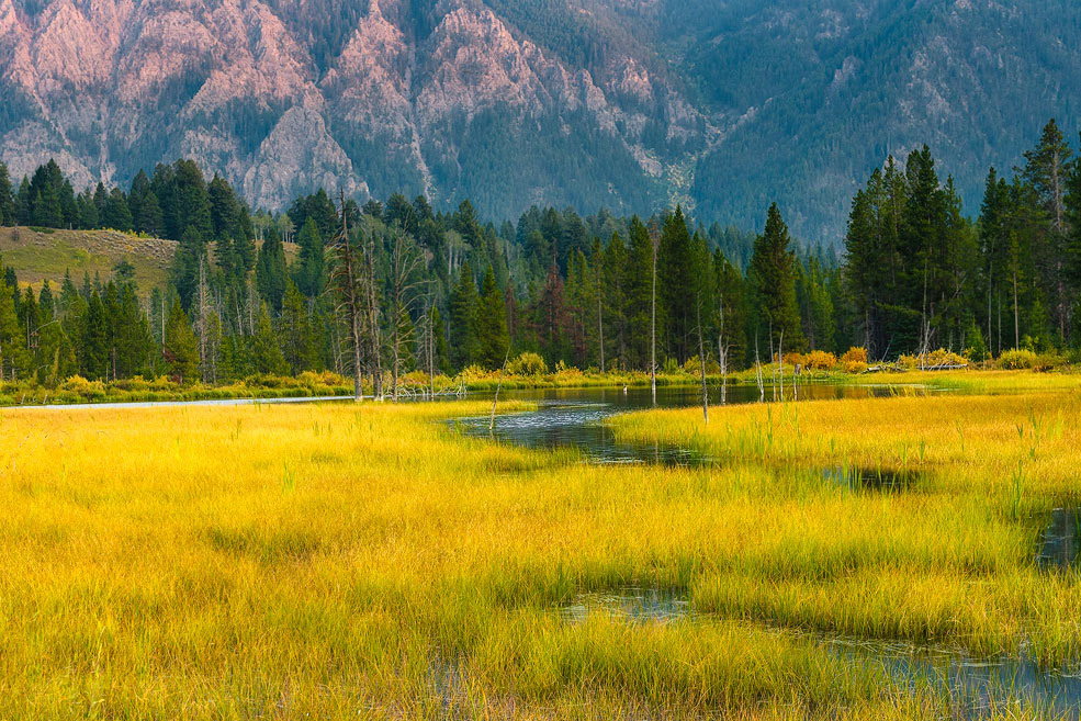 Beaver Creek Wetlands, Montana