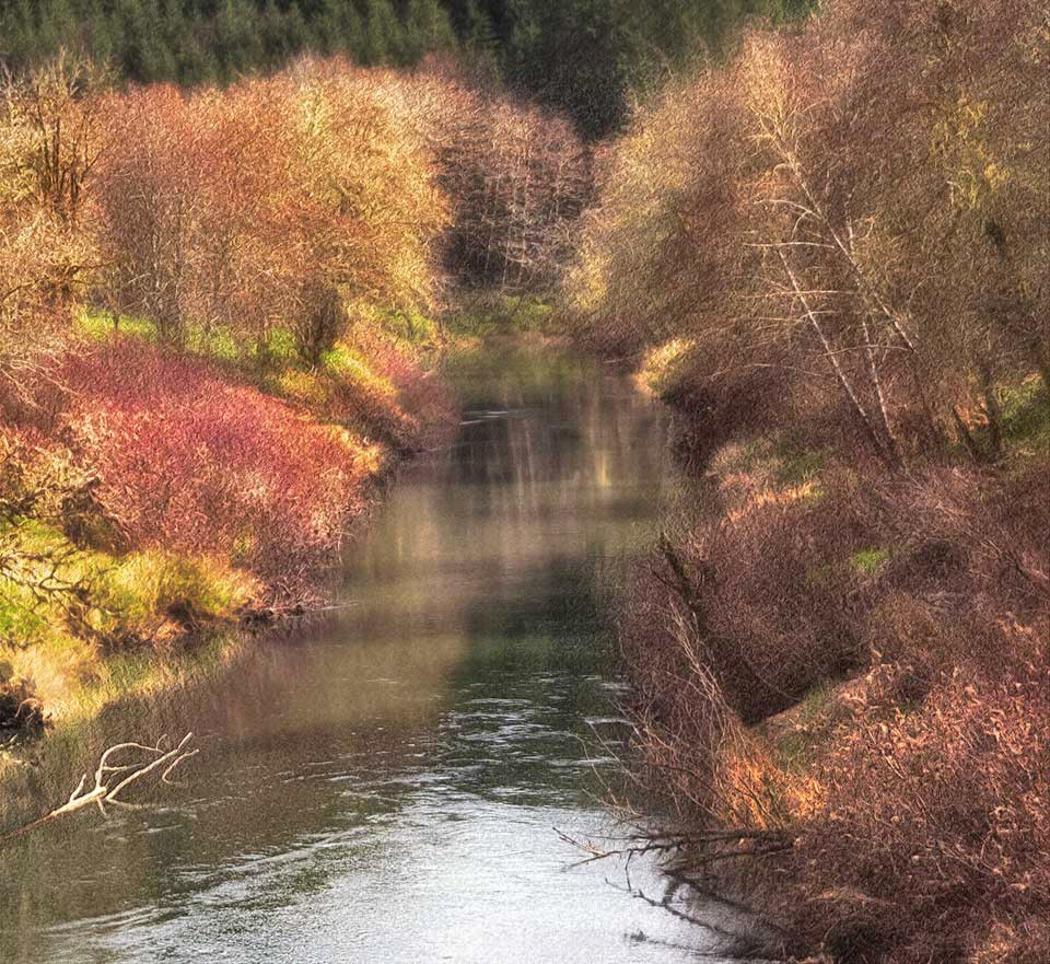 Nehalen River, Jewell