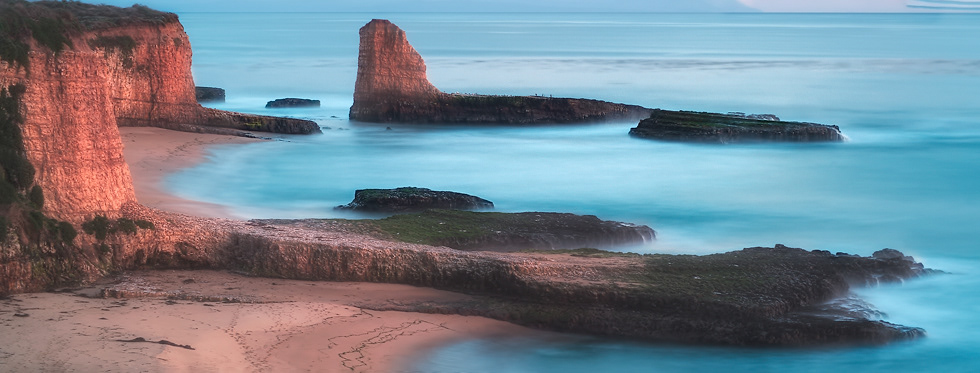 Shark's fins