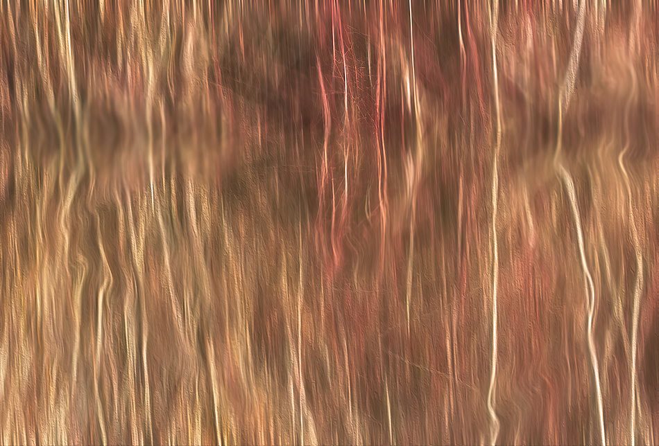 Weave
