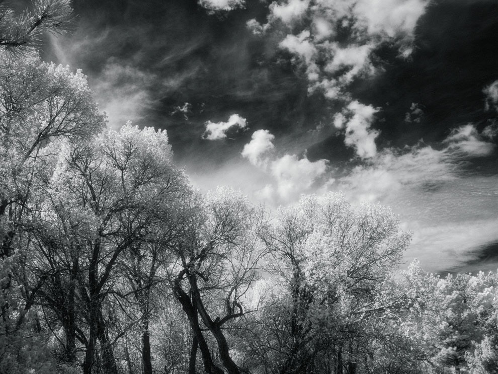 Cottonwoods & Clouds Utah