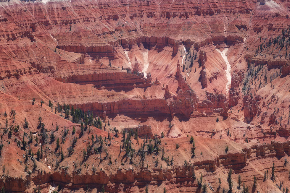 Cedar Breals III