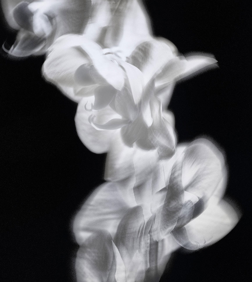 Valence II